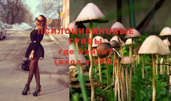 MESCALINE Армянск