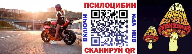 Псилоцибиновые грибы Psilocybe Сунжа