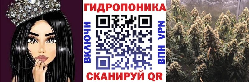ОМГ ОМГ сайт  Сунжа  Конопля индика 